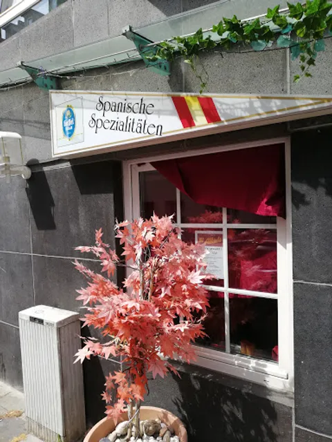 tapas y vino EL ALLI OLI