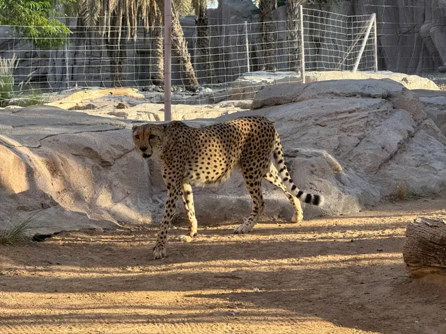 Arabia's Wildlife Centre