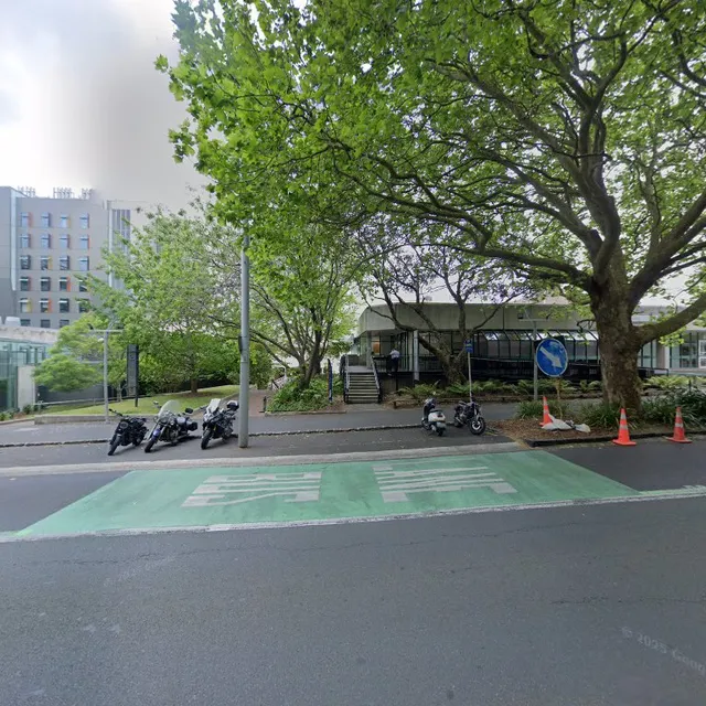 Faculty of Arts and Education, the University of Auckland
