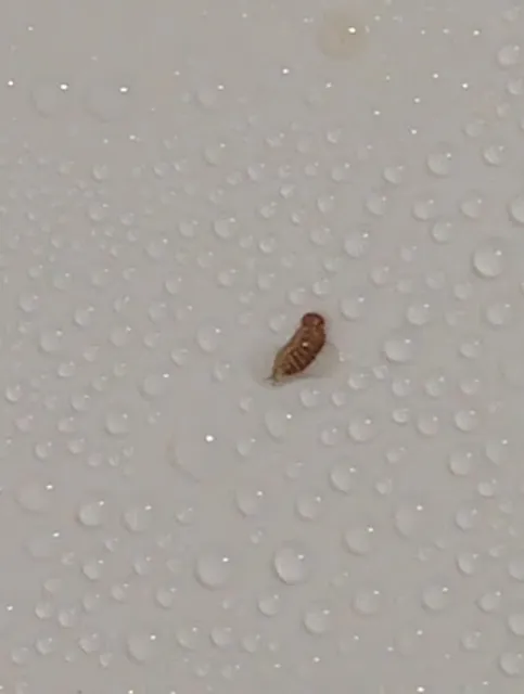 New Hop Poh Kitchens