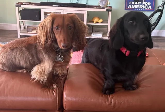 Hidden View Farms LLC