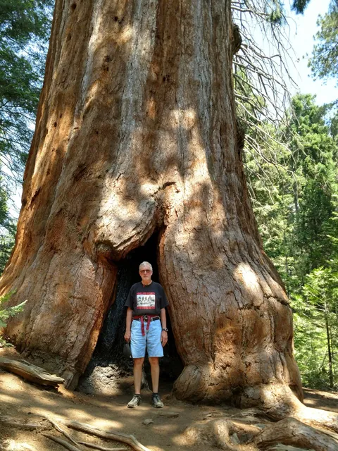 Big Stump Picnic Area