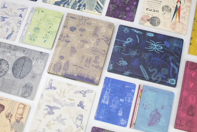 Warehouse Cognitive Surplus Fulfillment & Corporate Offices