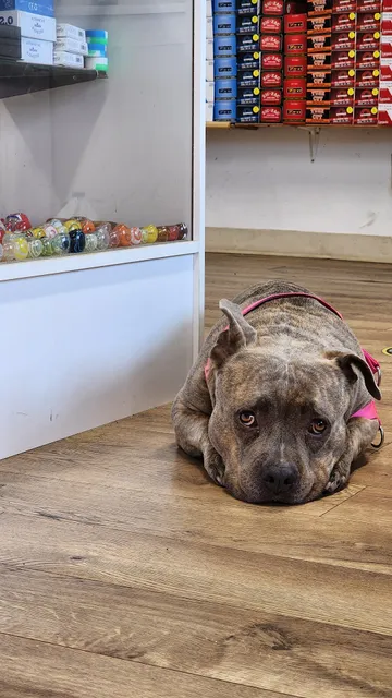 Da Smoke Shop Maui Kahului And Haiku