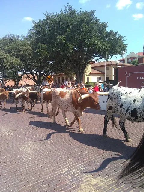 Tarantula Steam Train