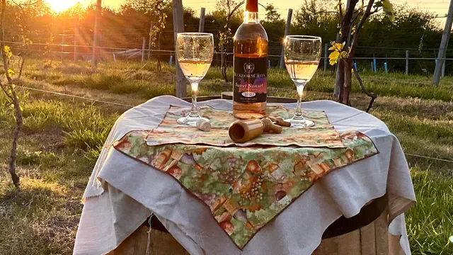 Buckhorn Creek Vineyard &Winery LLC