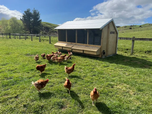 Outpost Buildings NZ