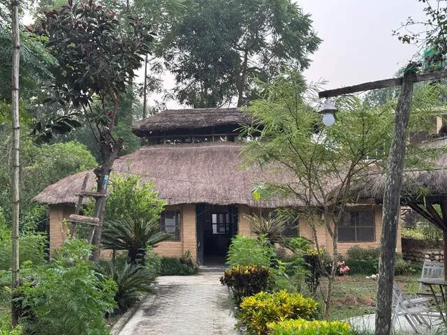 Bardia Jungle Cottage