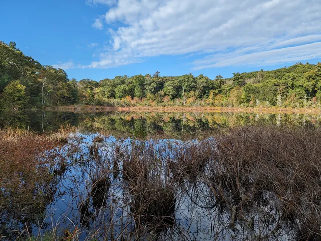 Mass Audubon Cedar Pond Wildlife Sanctuary