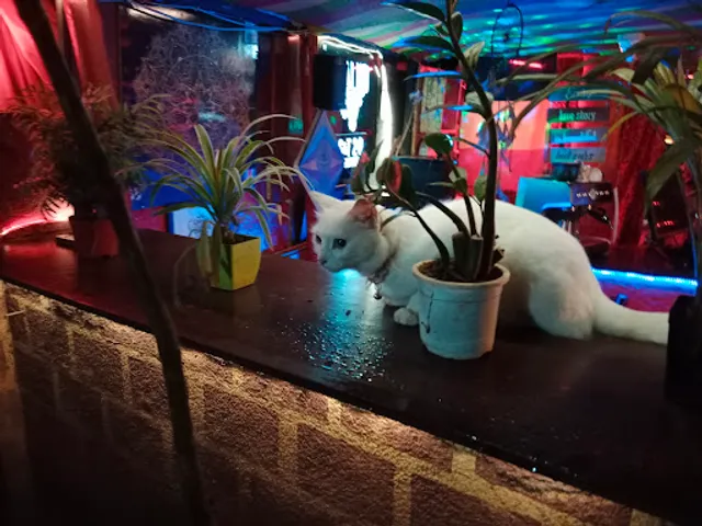 Magic Tree Bar & Restaurant