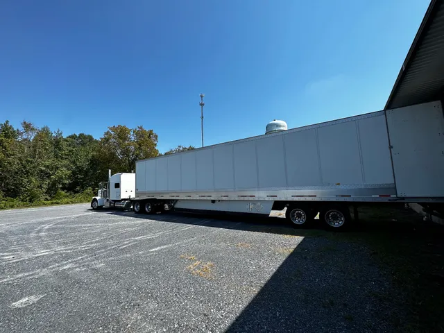 Minhas Furniture House plant 1