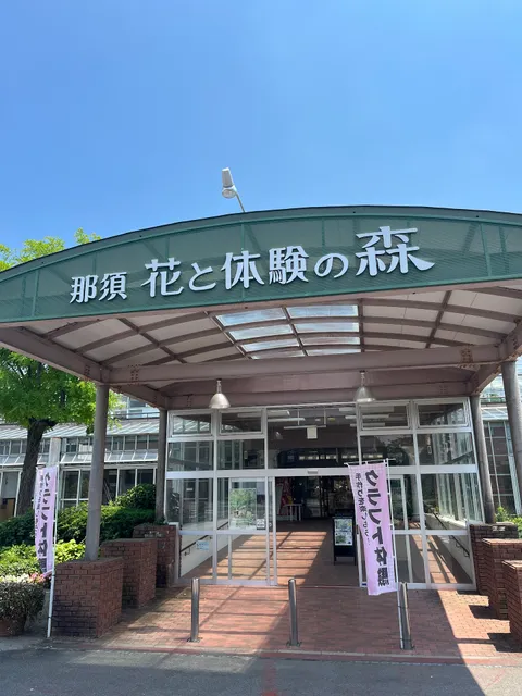 Forest of Flowers and Experiences