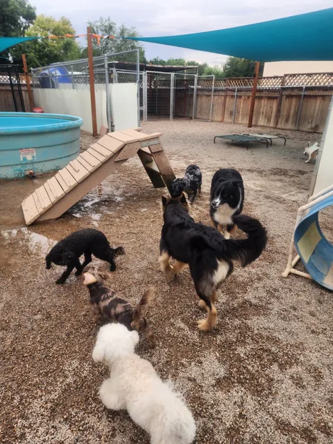 Zion Canyon Canine Recreation Center & Spa