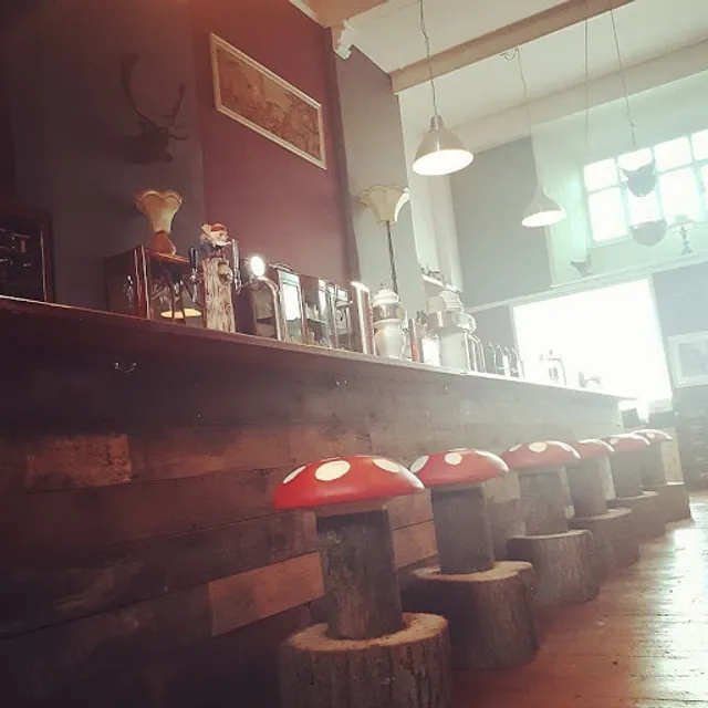 The Cavern of the Curious Gnome