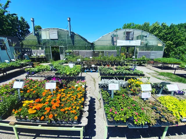 Antioch Urban Growers