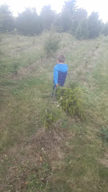 NovelTree Farm & Shop