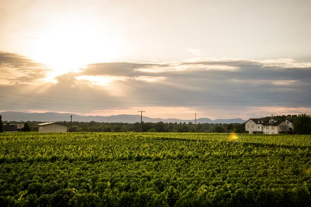 Ferienwohnen im Ziegelfeld
