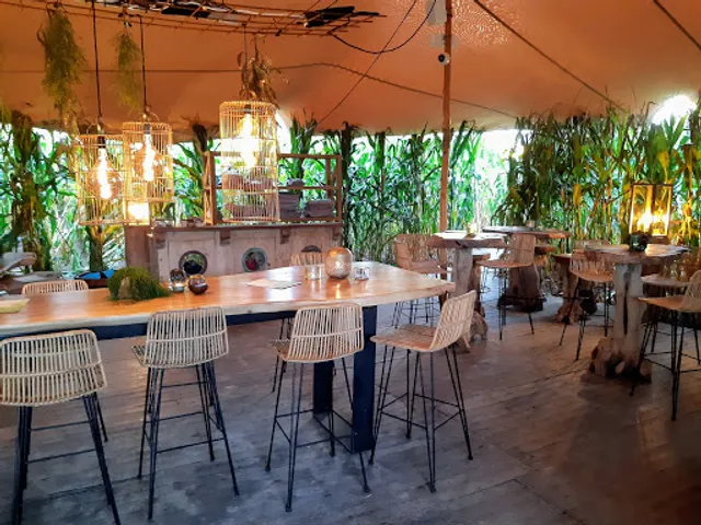 Volta Summer Pop-Up Camp