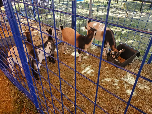 Madison County Fairgrounds