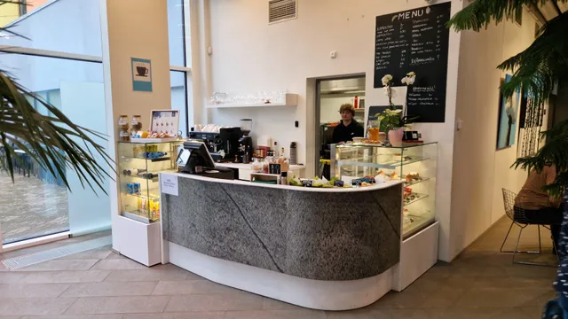 Palmimaja kohvik Kirribilli