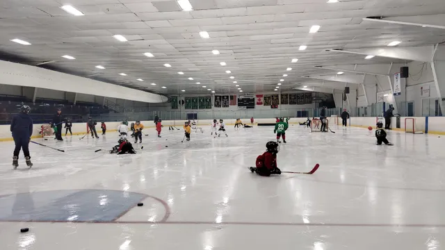 Grosse Pointe Community Ice