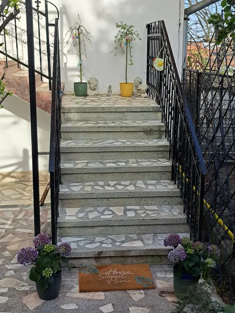 Piccola Italia Casa Racoviță