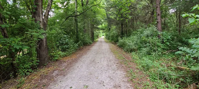 Virginia Blue Ridge Railway Trail (Piney River Trailhead)