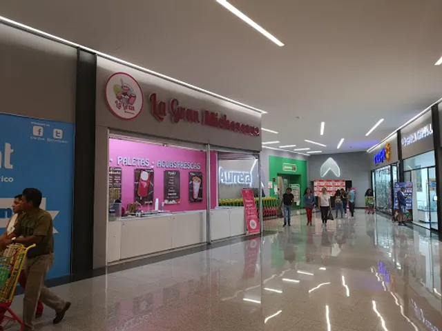 La Gran Michoacana Pasaje Ferrería