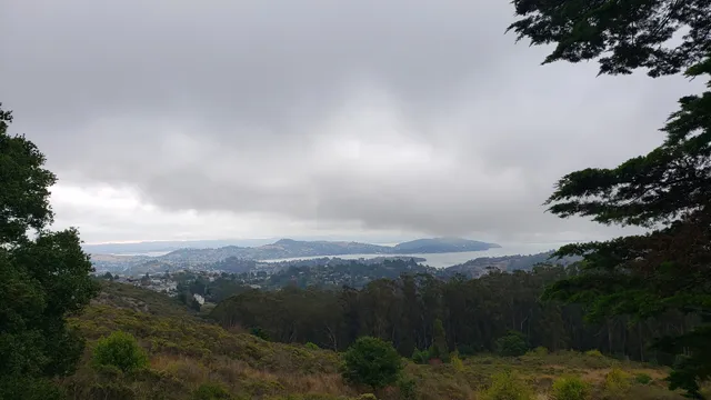 Tamalpais Valley