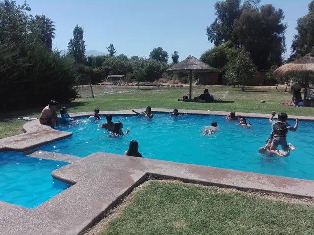 El Tulipán hotel de mascotas