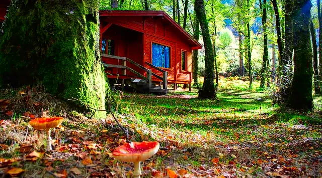 Camping de Lamas de Mouro