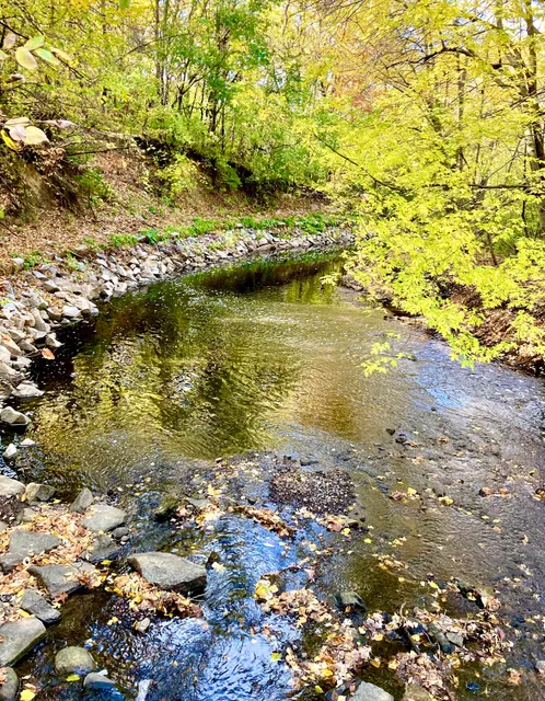 Locke County Dog Park