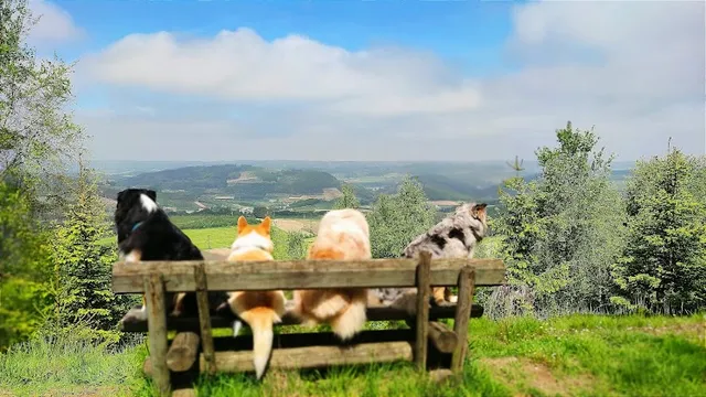 Ferienwohnungen Dorfliebe Dörnberg