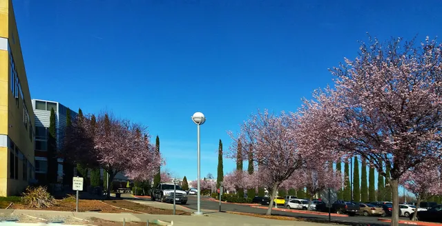 Butte College, Chico Campus