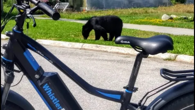 Whistler eBikes - Electric Bike Rentals And Adventures