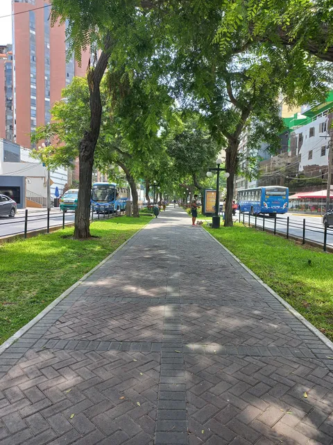 Alameda de la Avenida Pardo