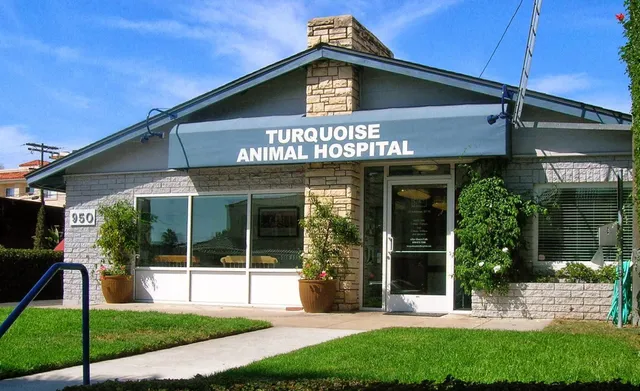 Turquoise Animal Hospital