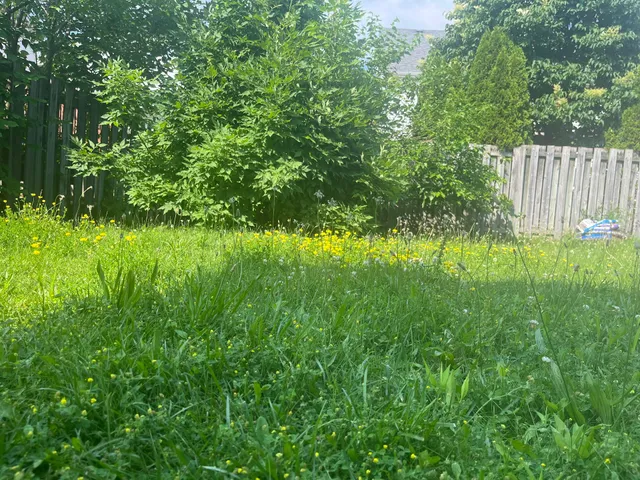 Marandola Real Estate Management