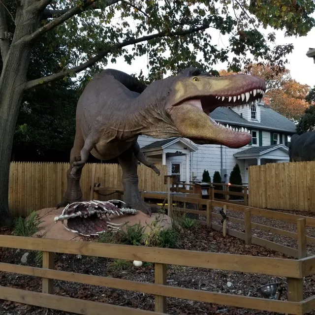 Center For Science Teaching And Learning