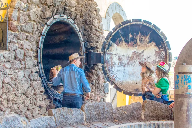 The Agave Experience