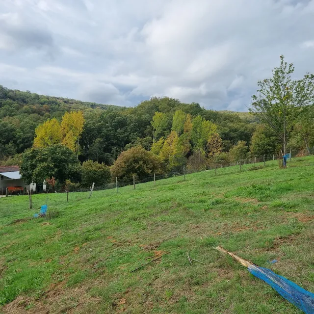 Alojamento Local Madre de Cima