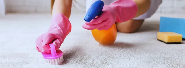 Better Day Carpet Cleaning