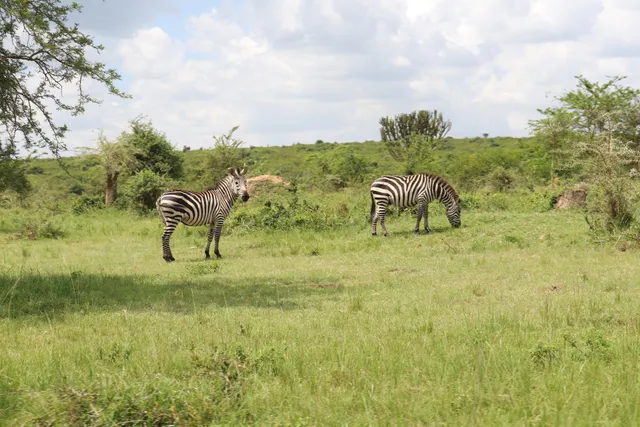 Lake Mburo National Park