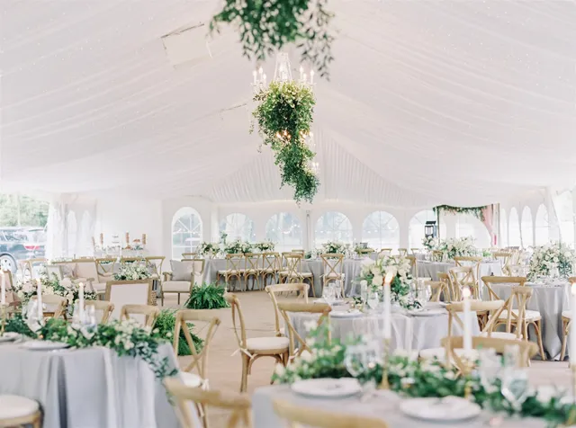 Historic Shady Lane LLC