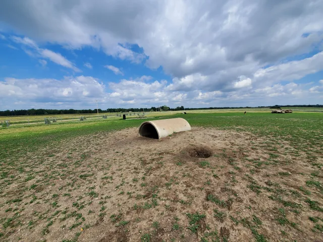 Family Park Dog Park