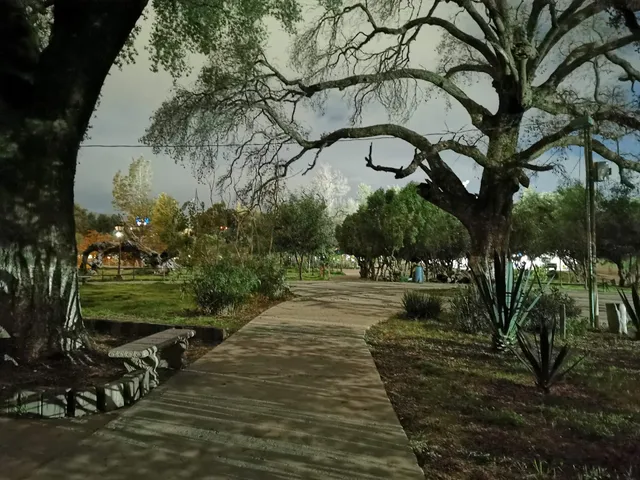 Parque los Encinos