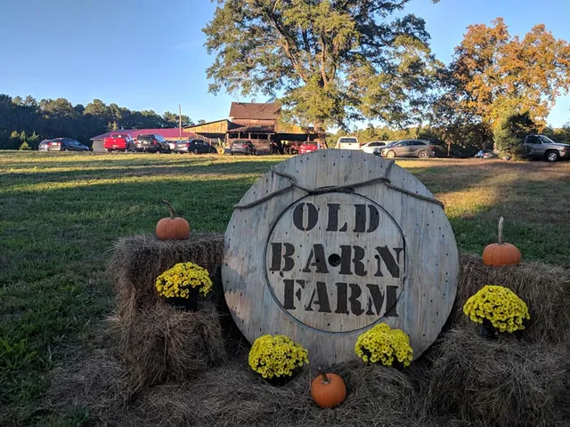 Old Barn Farm, LLC, Chapin