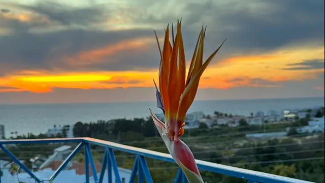 Ocean Wings - Panoramic SeaView Apartment