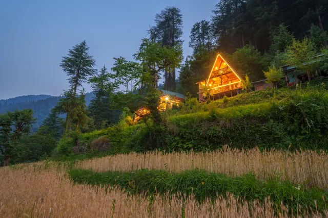 Serenity Wooden Tree House Jibhi