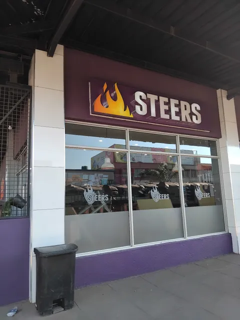Steers
